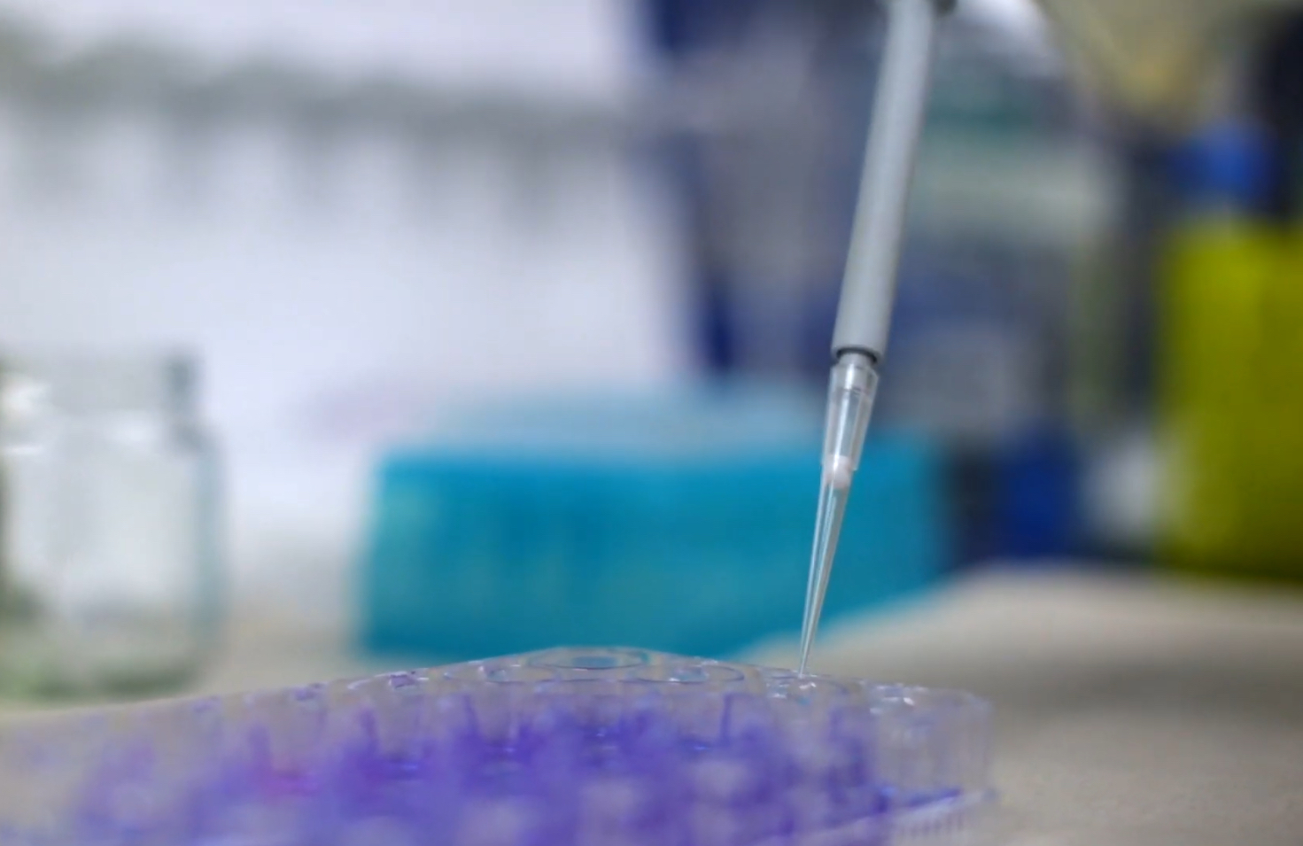 Atención Integral con Visión Científica