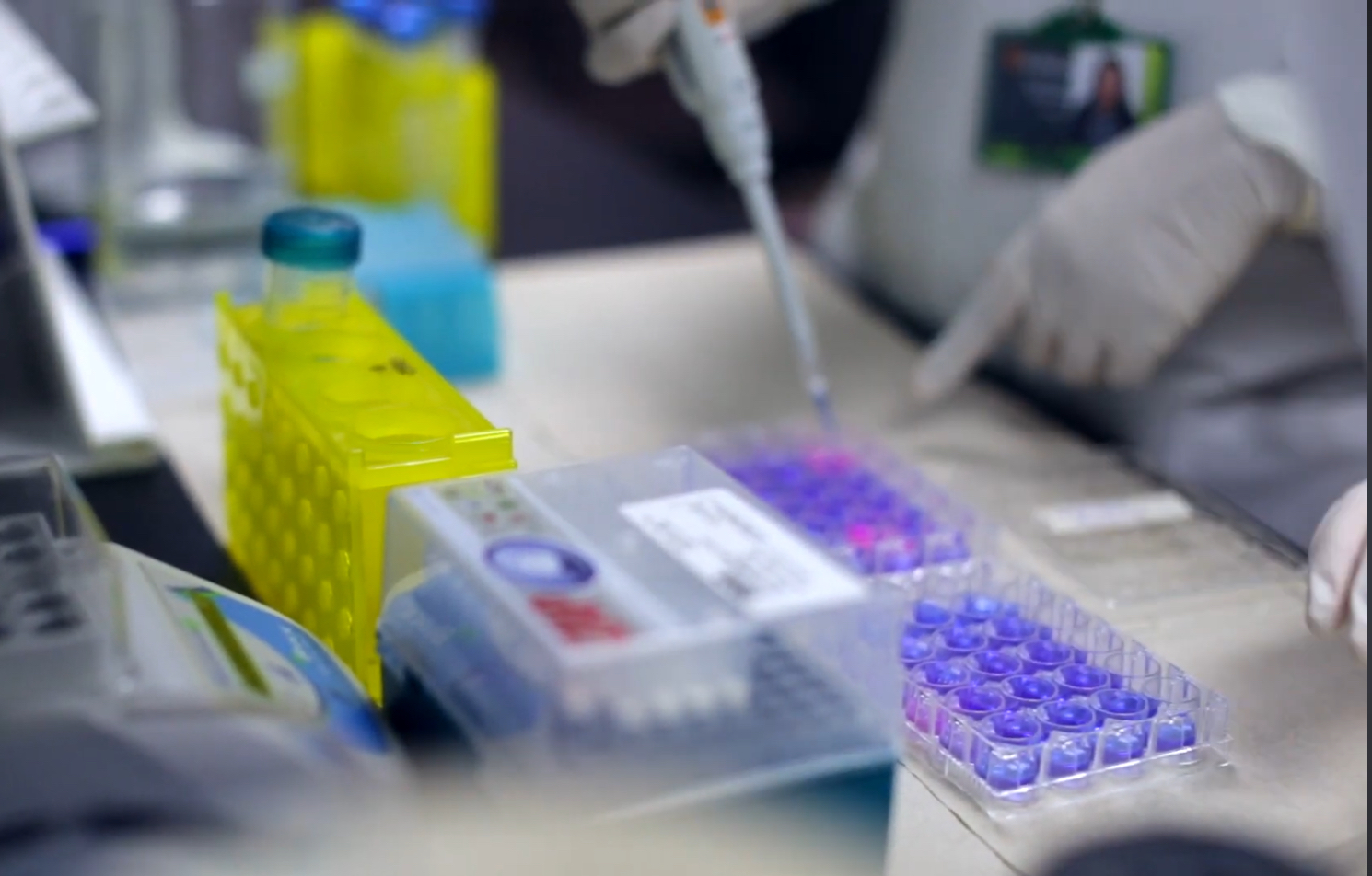 Investigación Clínica de Excelencia